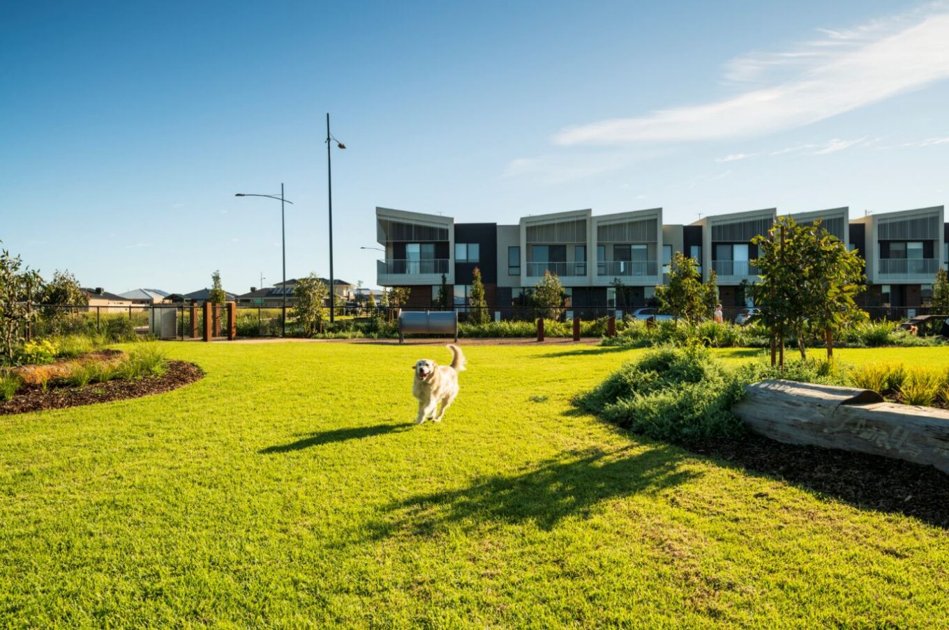 wireless dog park_low res