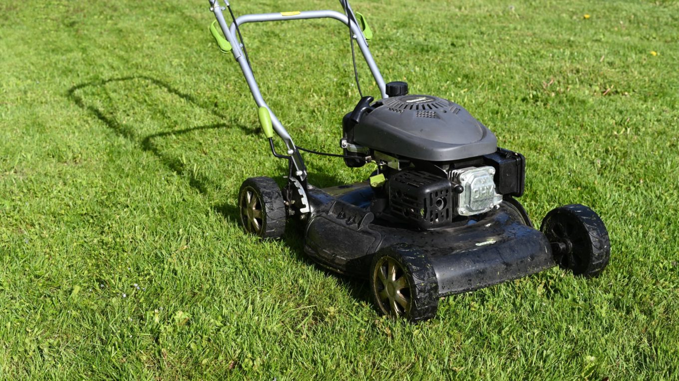 Mow your neighbour's lawns