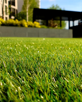Top tips for having a beautiful lawn