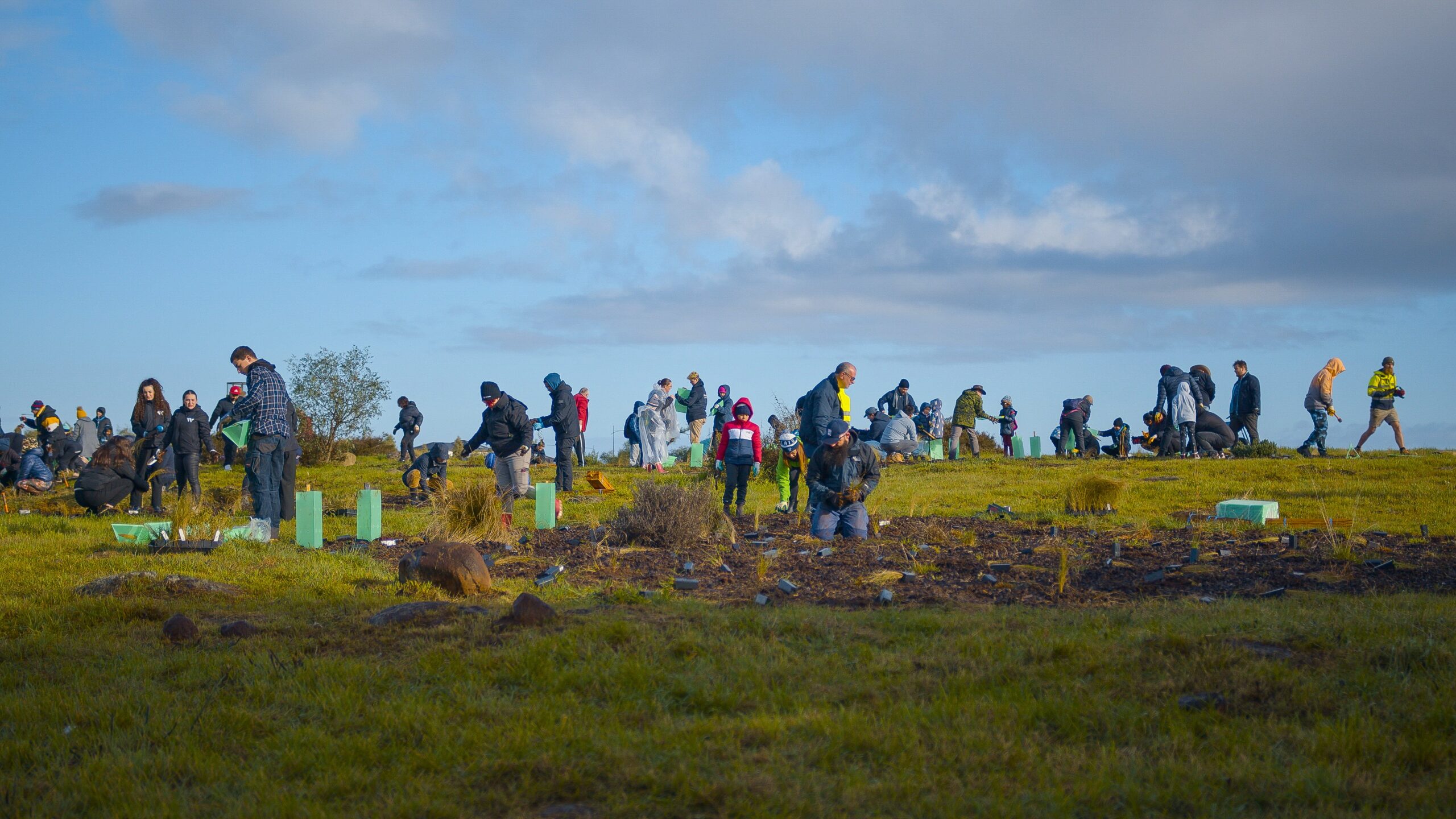 Community Tree Planting Day 