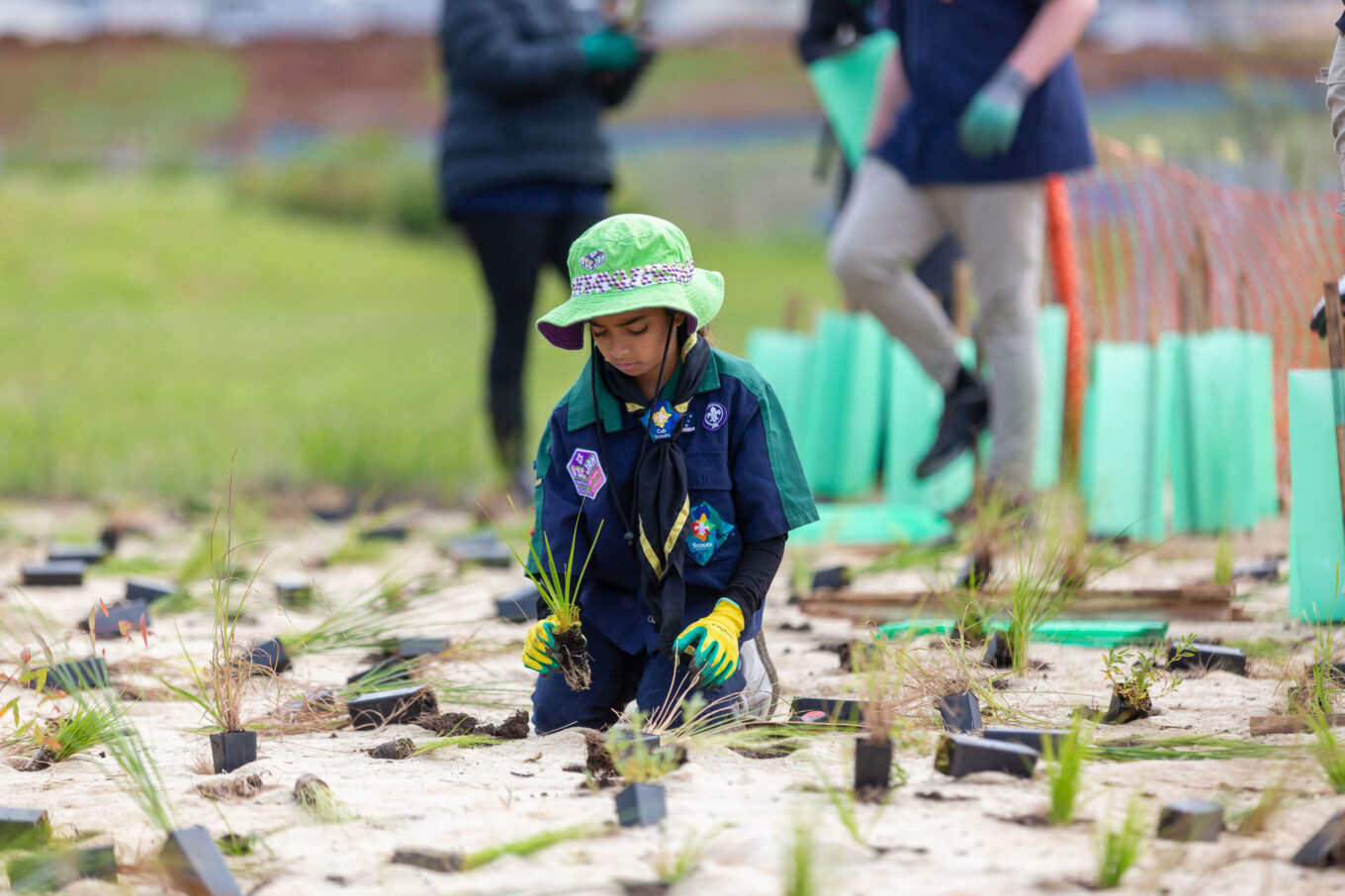 Tree Planting x Parkrun