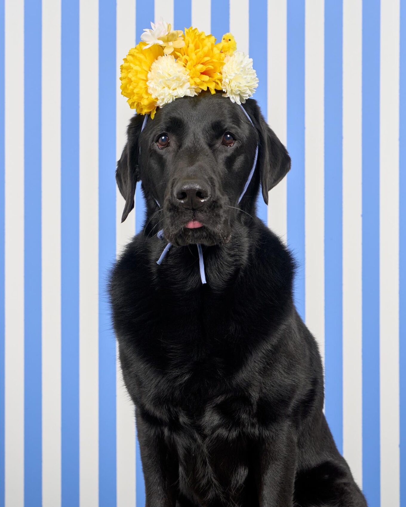 491445205_18493603273005547_3838319712908863474_n