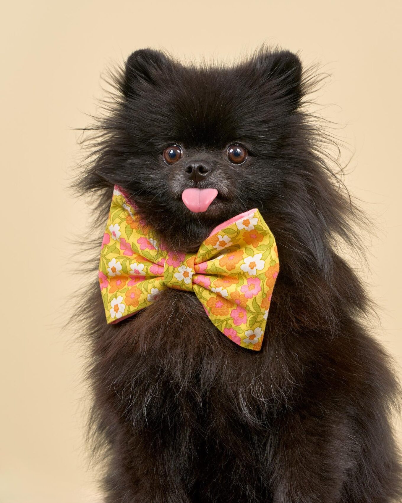 503871248_18502071316005547_8695375852810677905_n