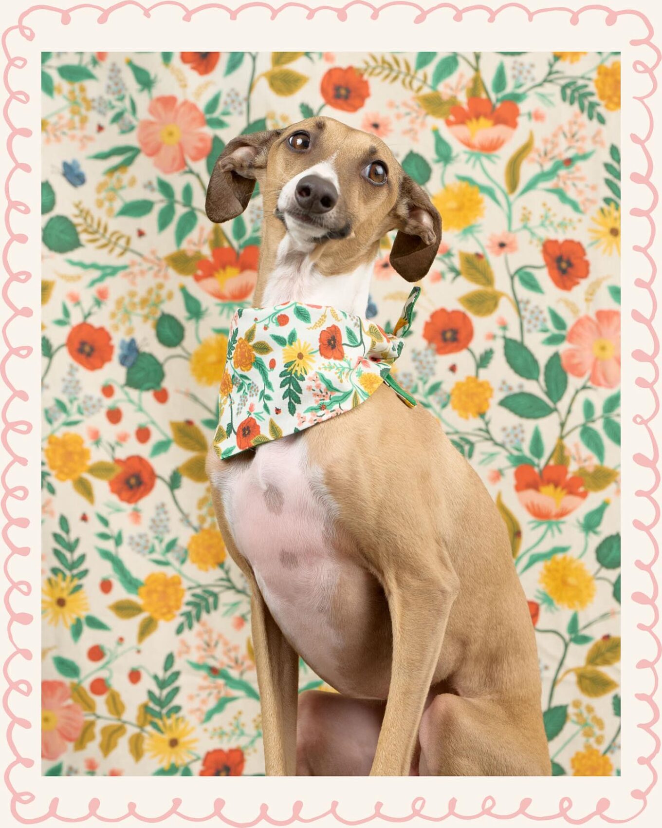 547759930_18521244526005547_6673027090202646959_n