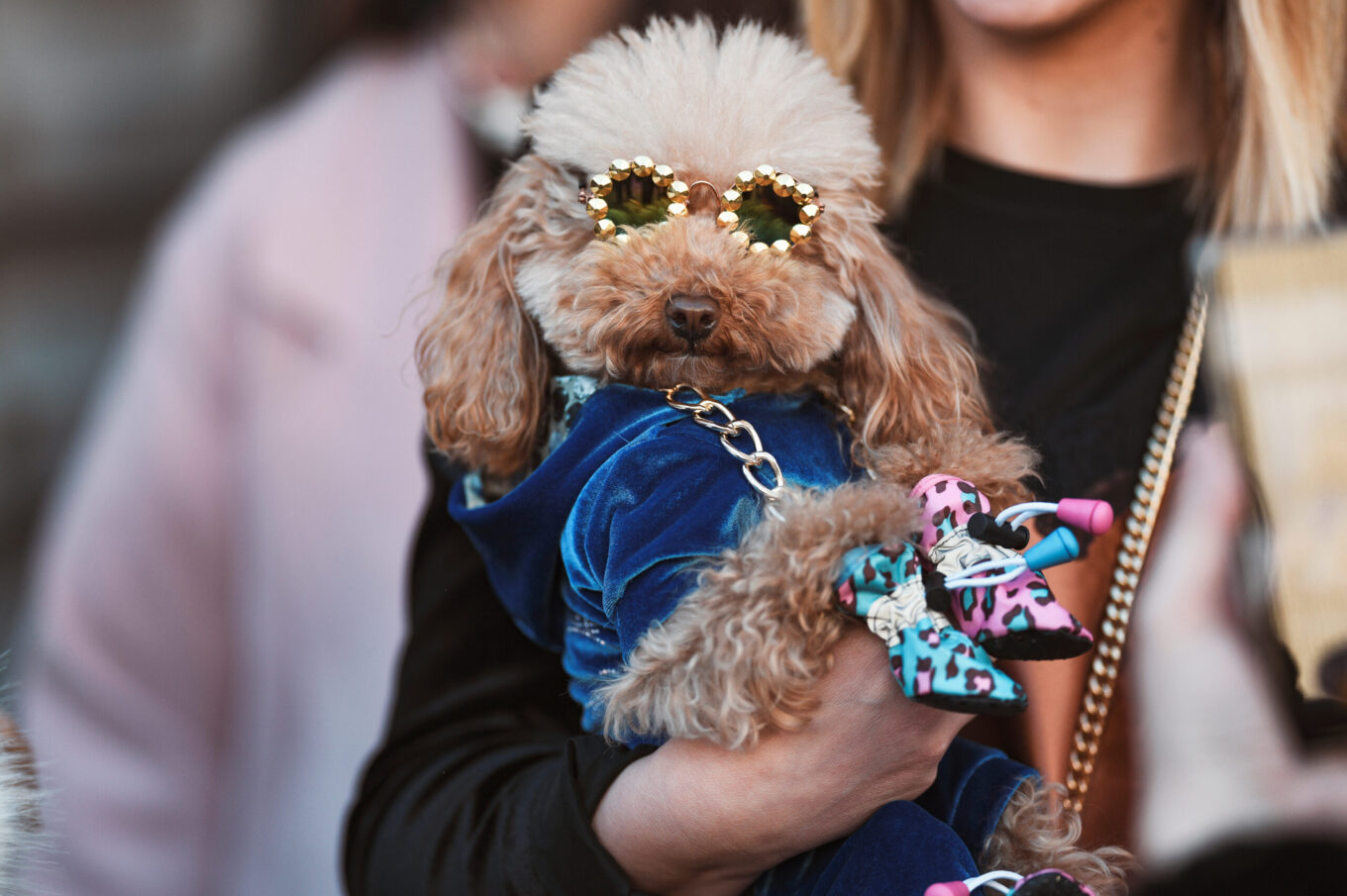 FASHION ON THE FIELD AT 1PM