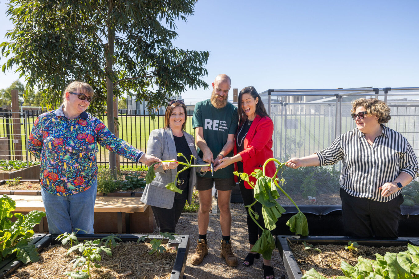 IP0133.20250322.00044174