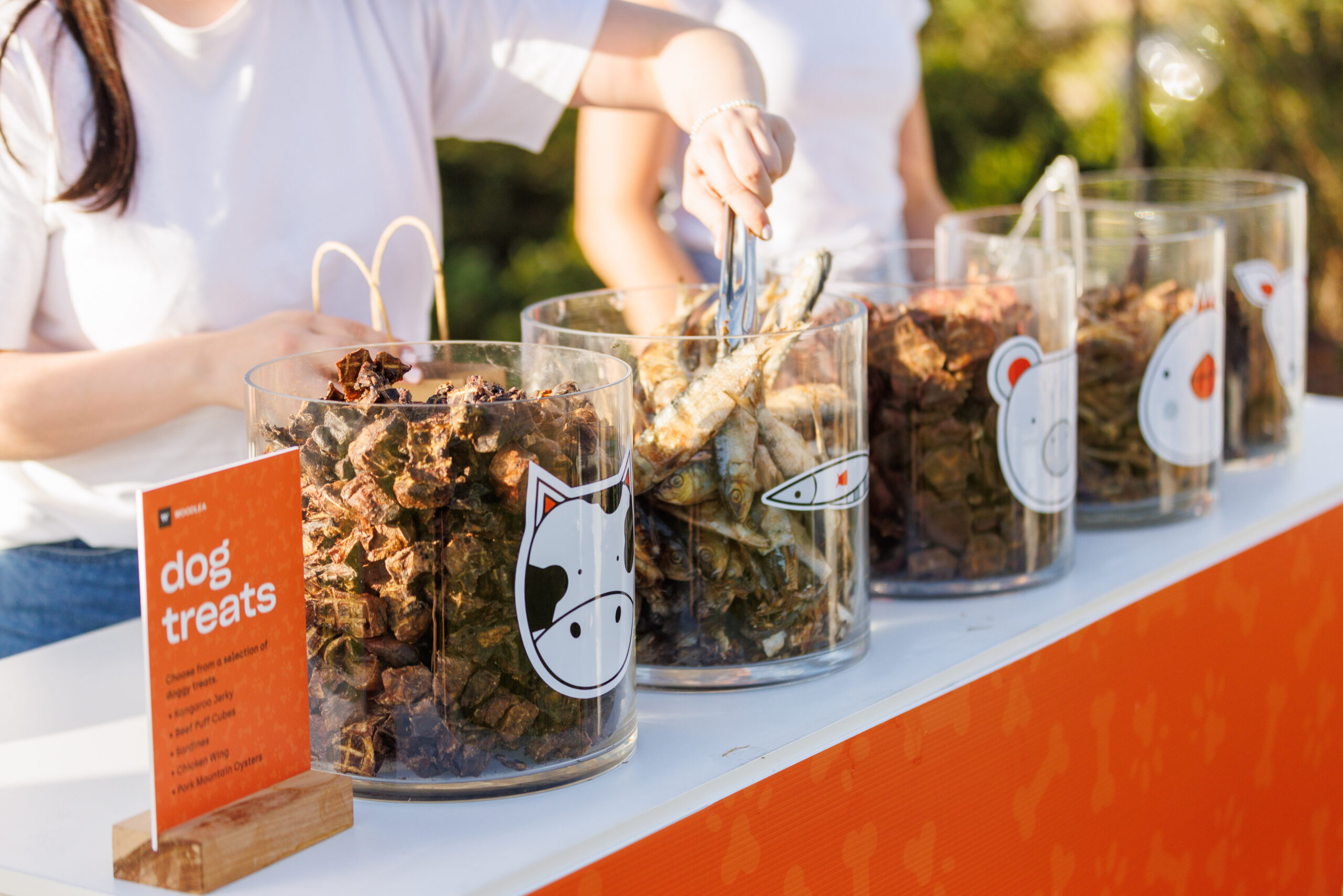 IP032-20220319.99999939