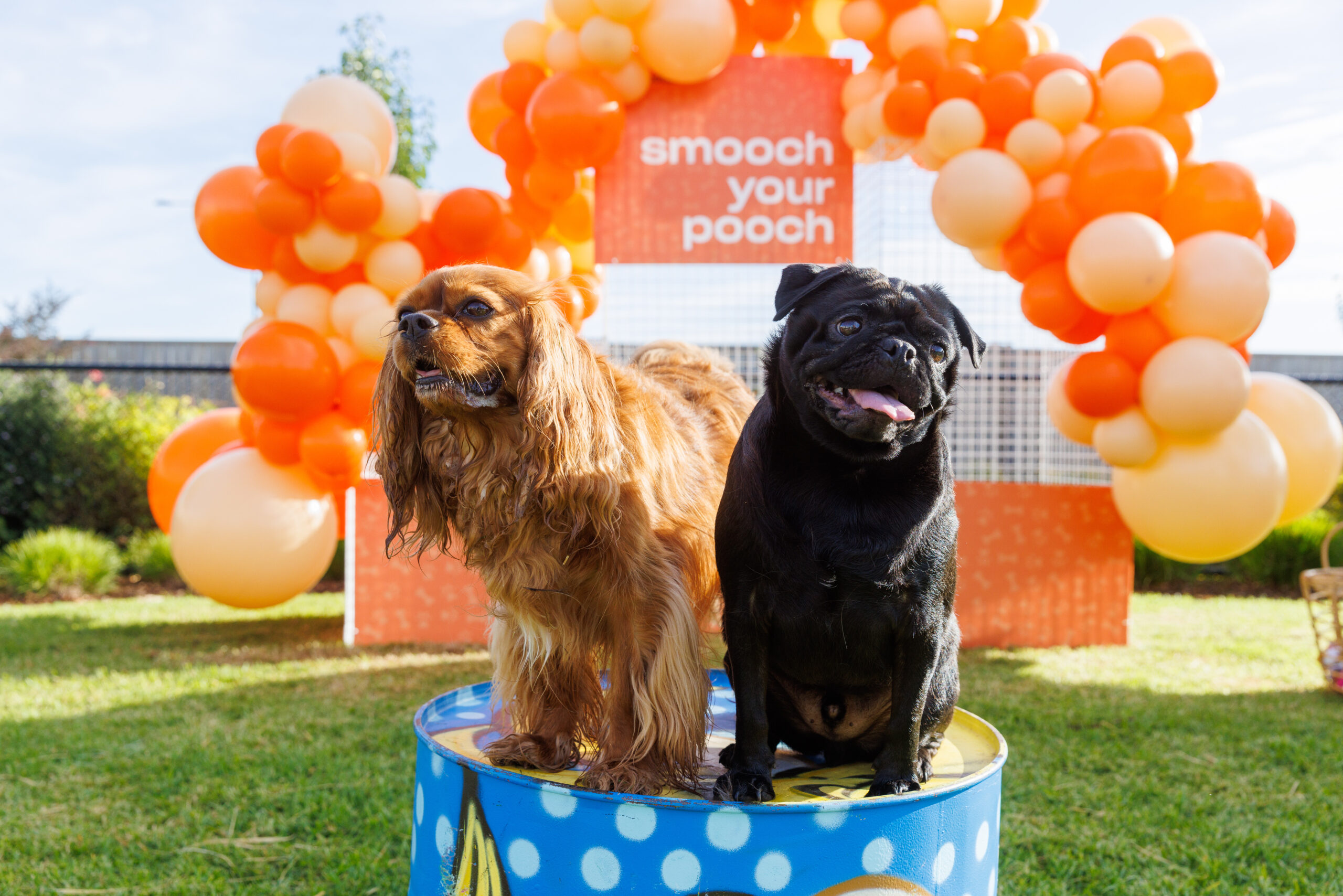 IP053-20220319.0U6A2664