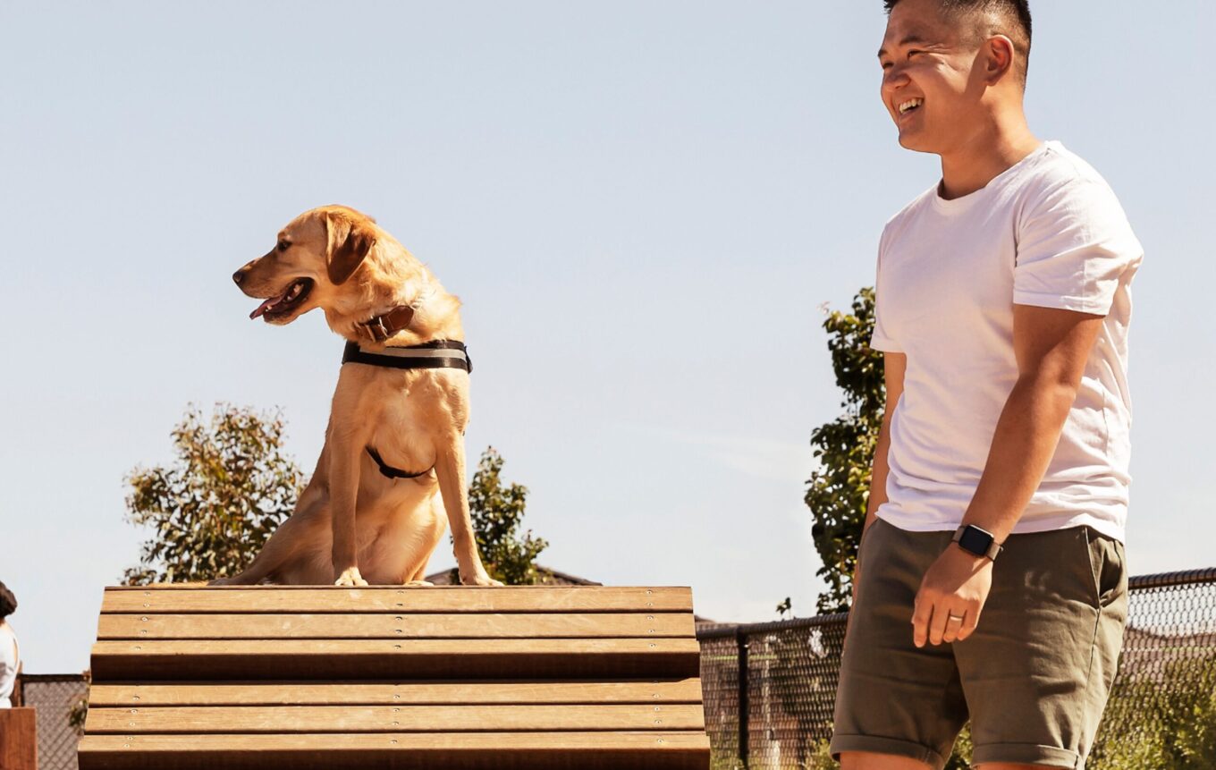 CLEVER CANDID TRAINING SESSIONS