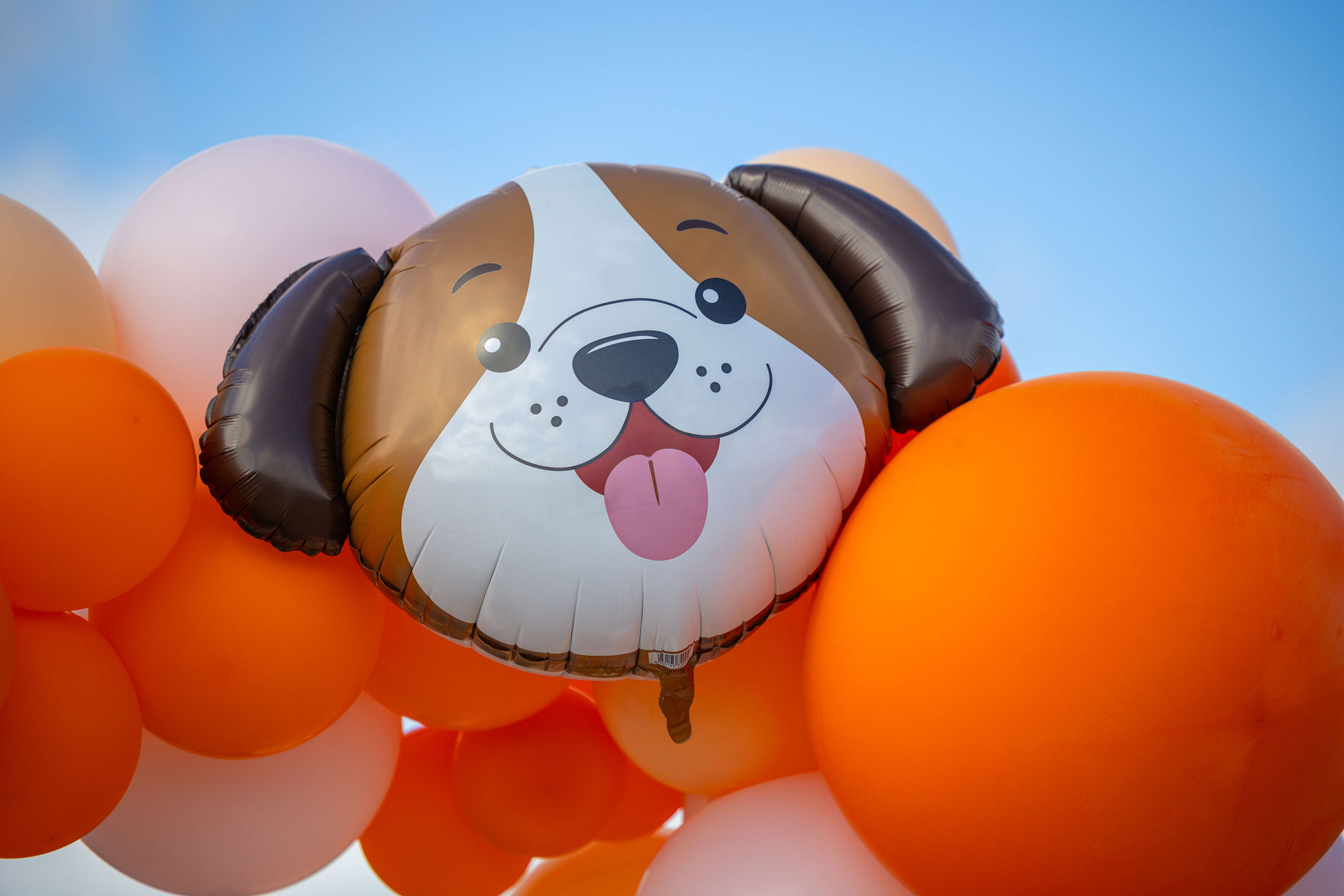 IP0001.20251018.A1112606