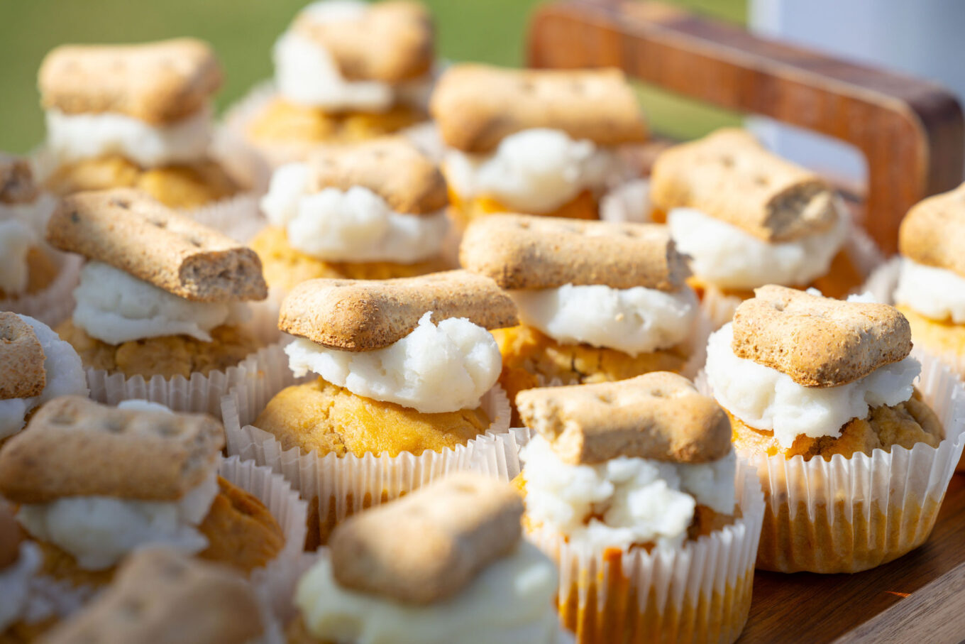 IP0021.20251018.A1112883