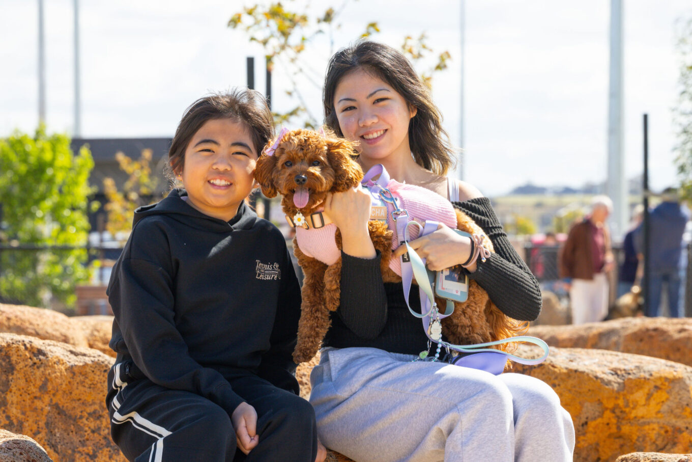 IP0029.20251018.A1112945