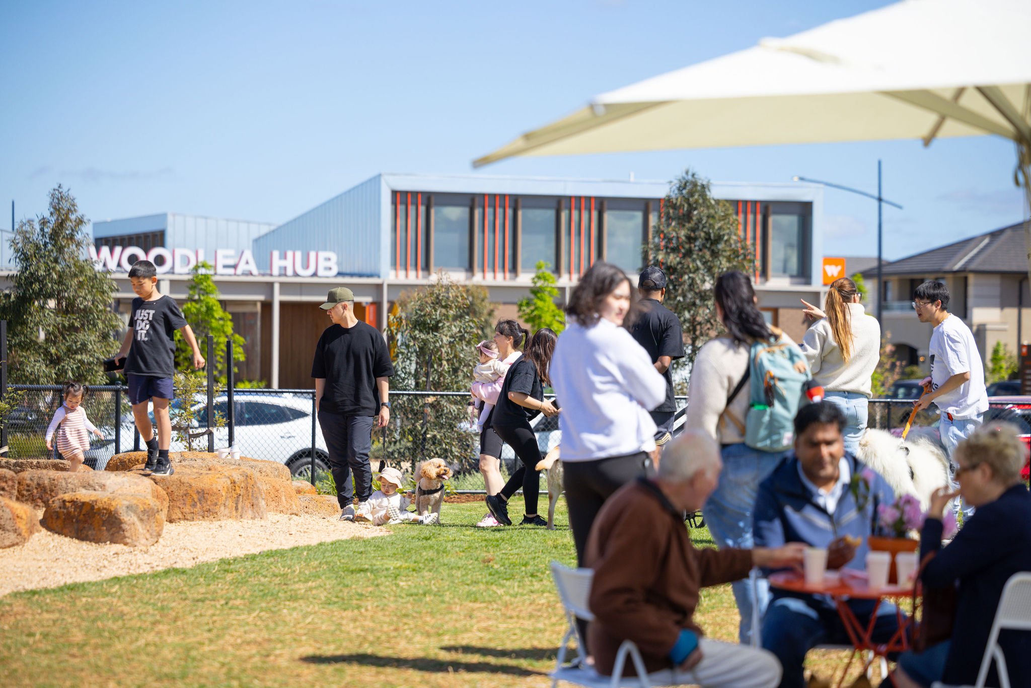 IP0048.20251018.A1113531