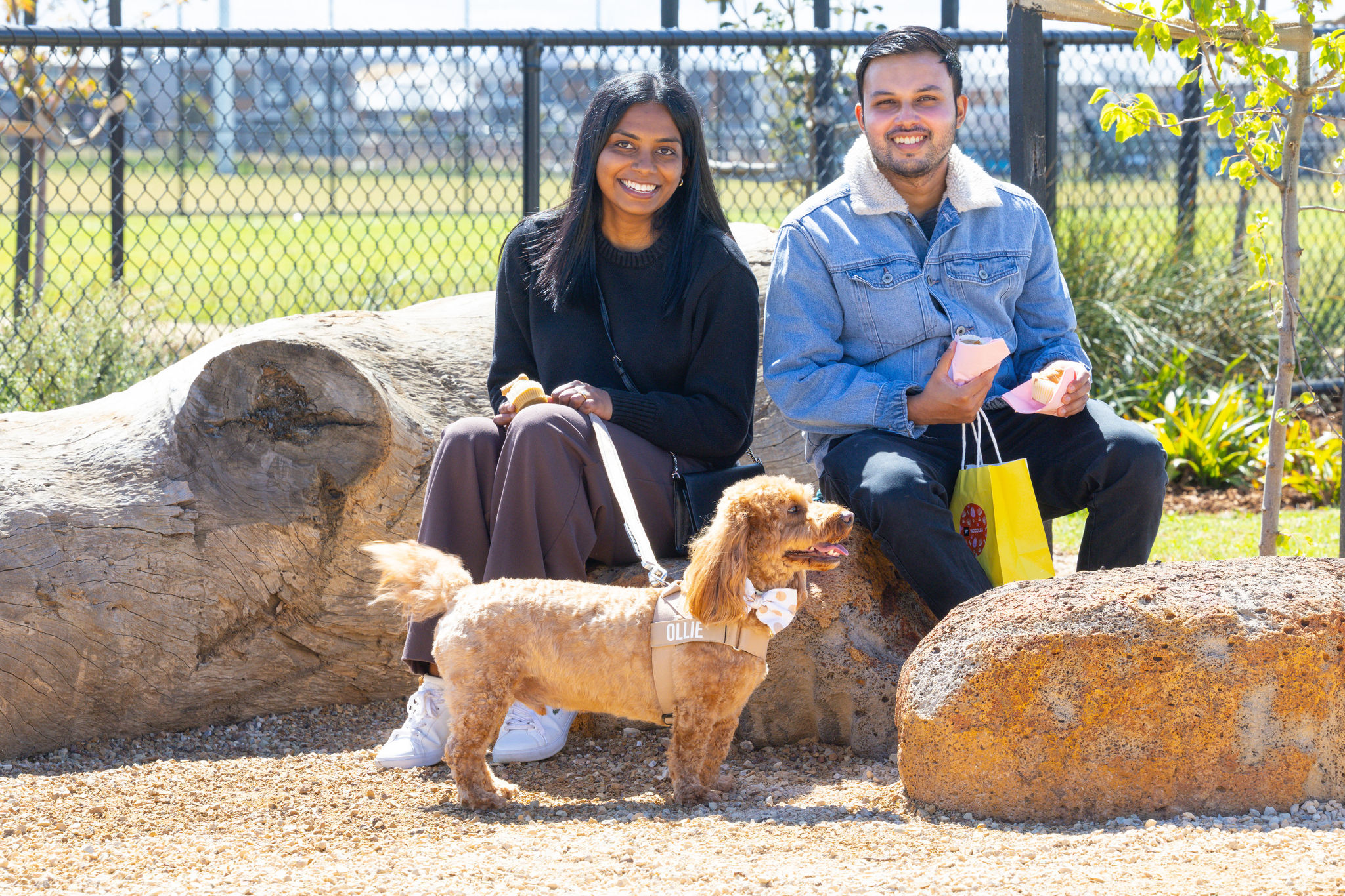 IP0049.20251018.A1113574