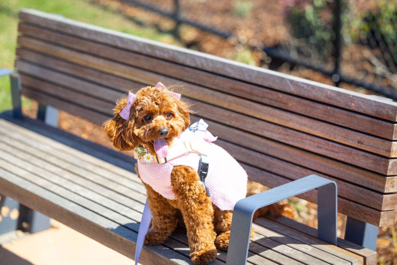 IP0053.20251018.A1113647