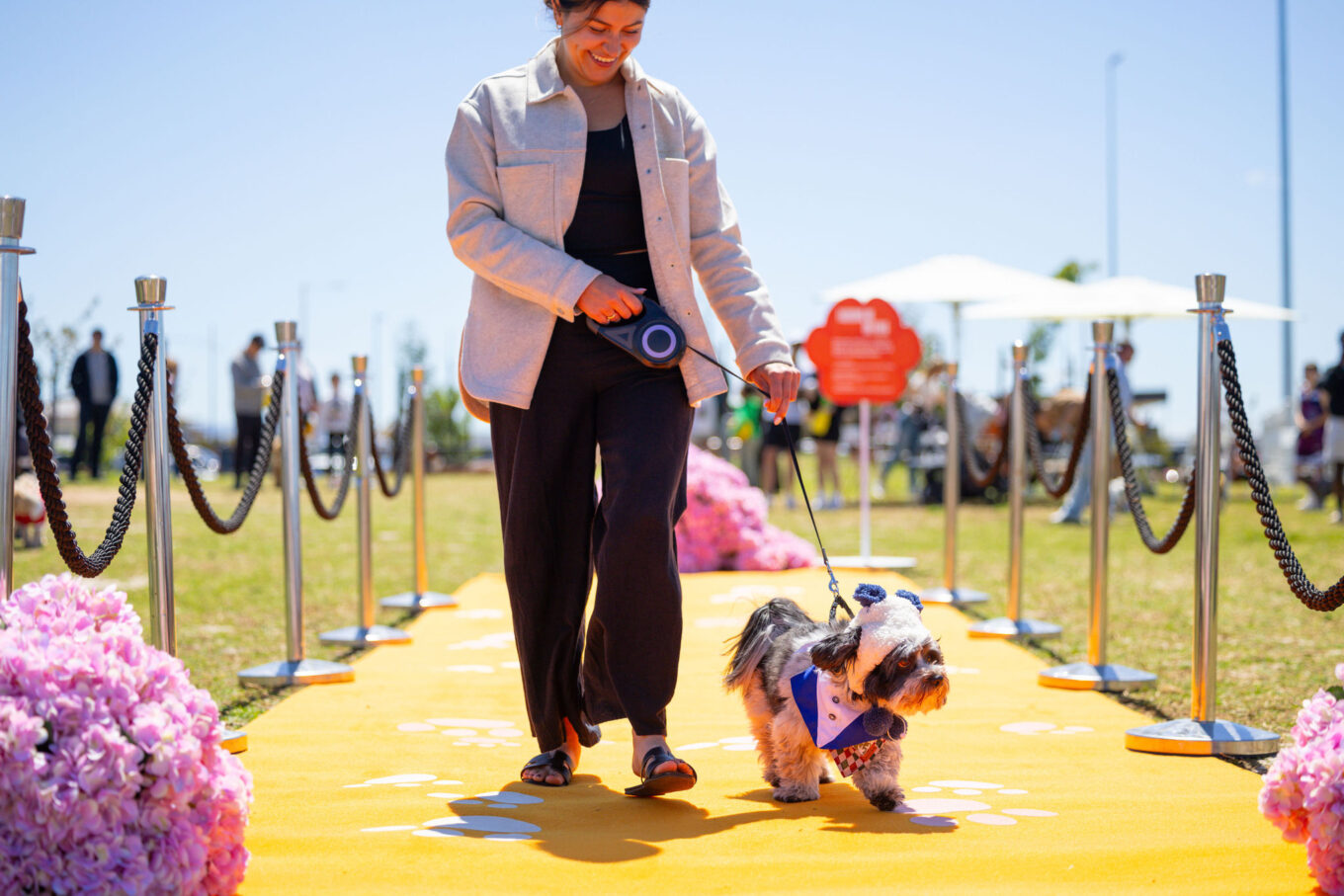 IP0117.20251018.A1115107