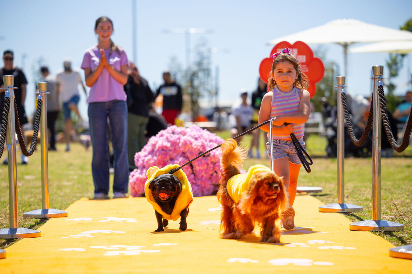 IP0133.20251018.A1115462