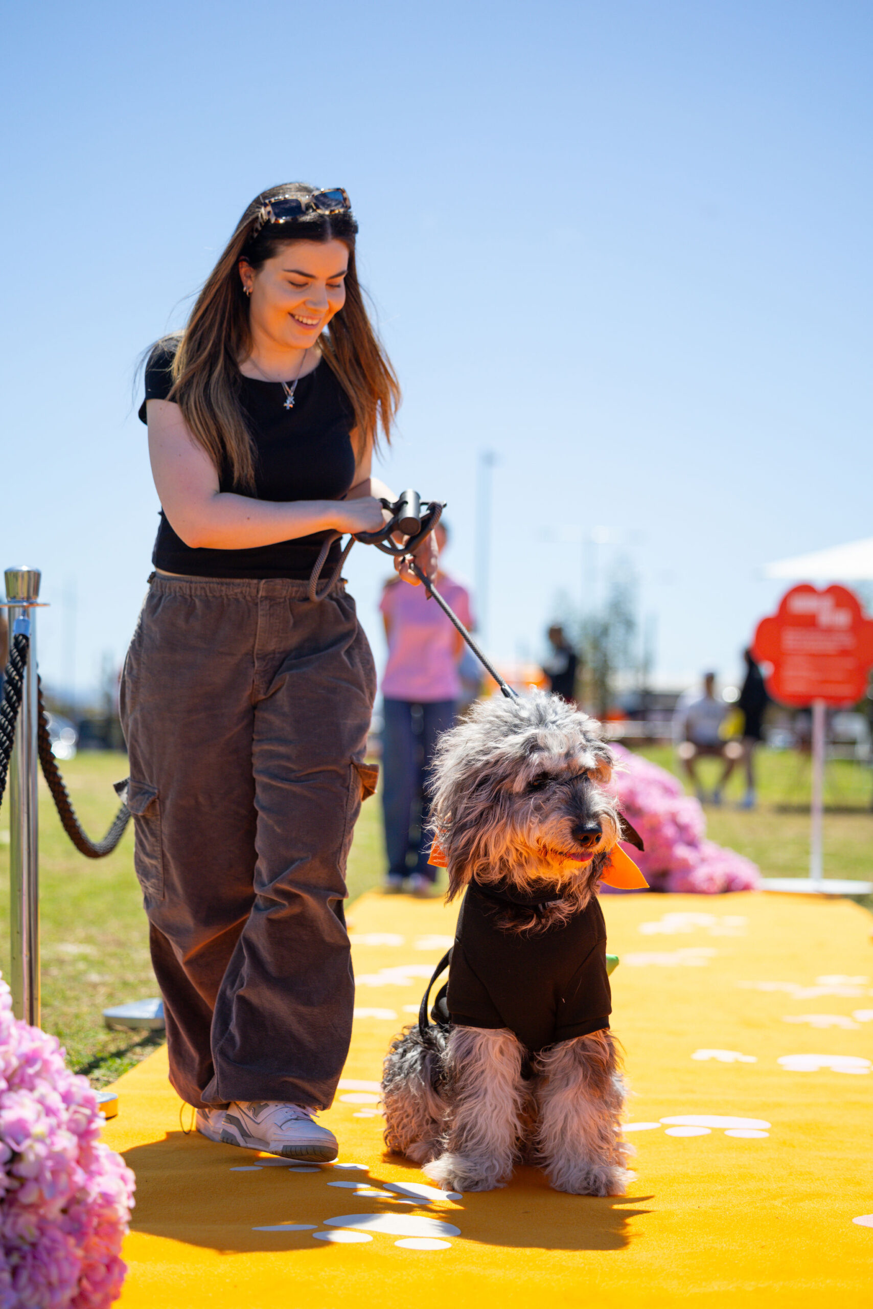 IP0144.20251018.A1115649