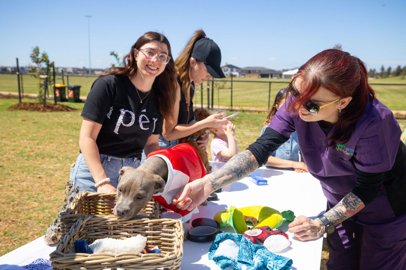 IP0161.20251018.17560393