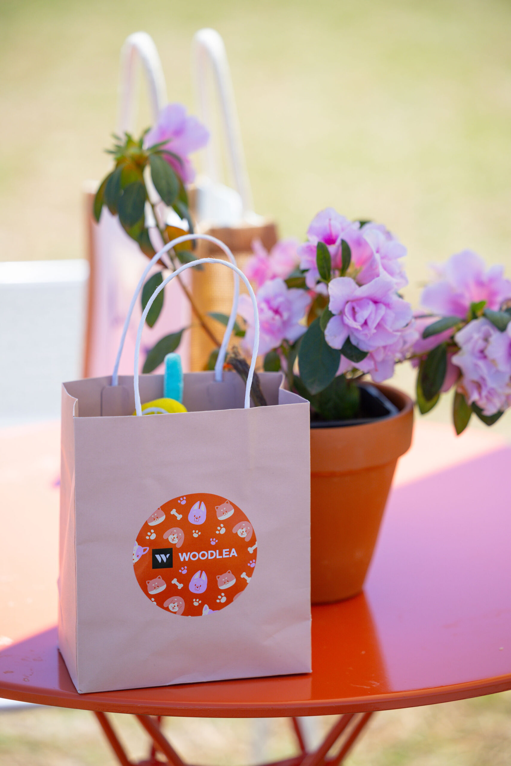 IP0172.20251018.A1116003