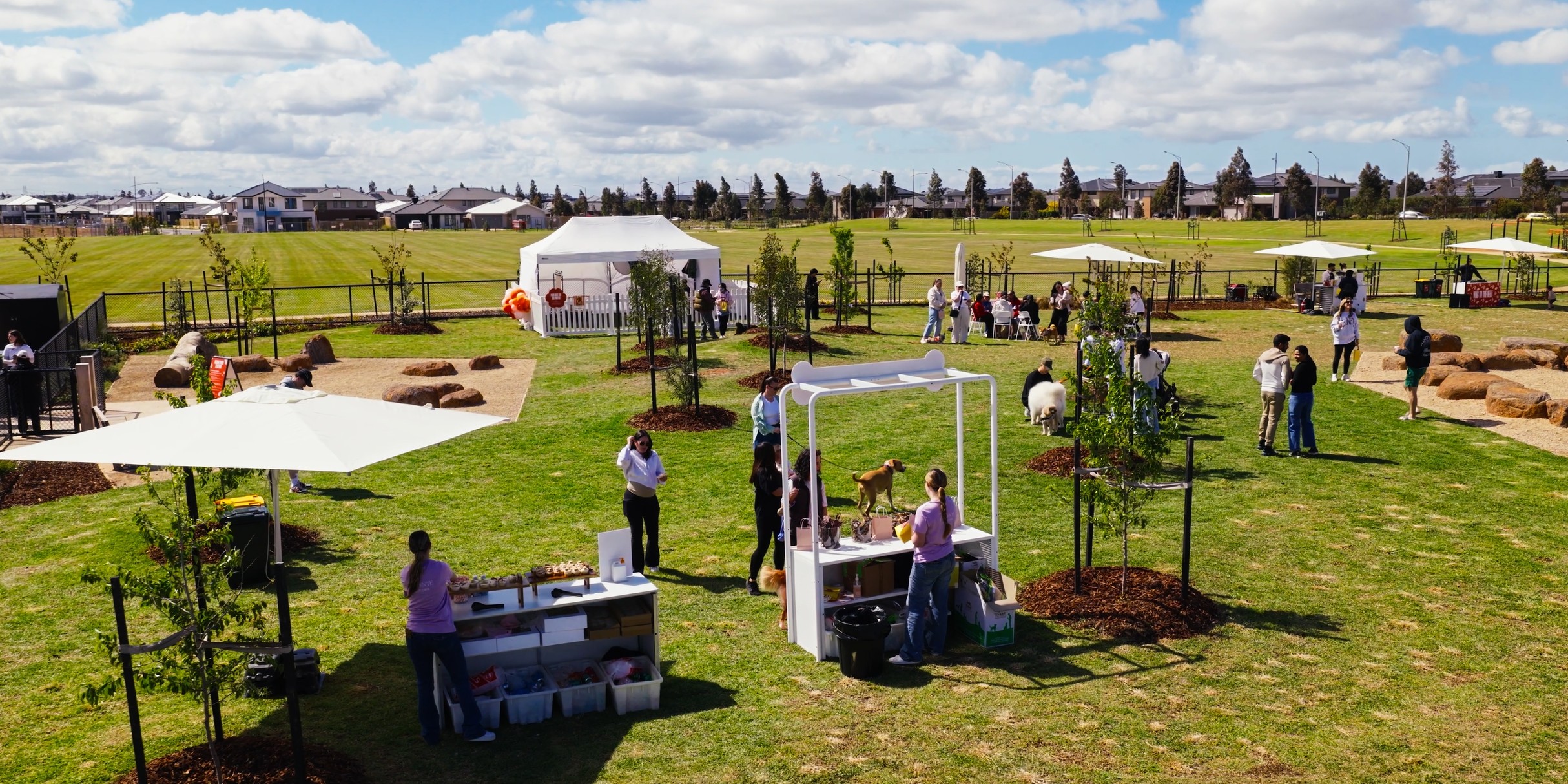 Woodlea Pups in The Park