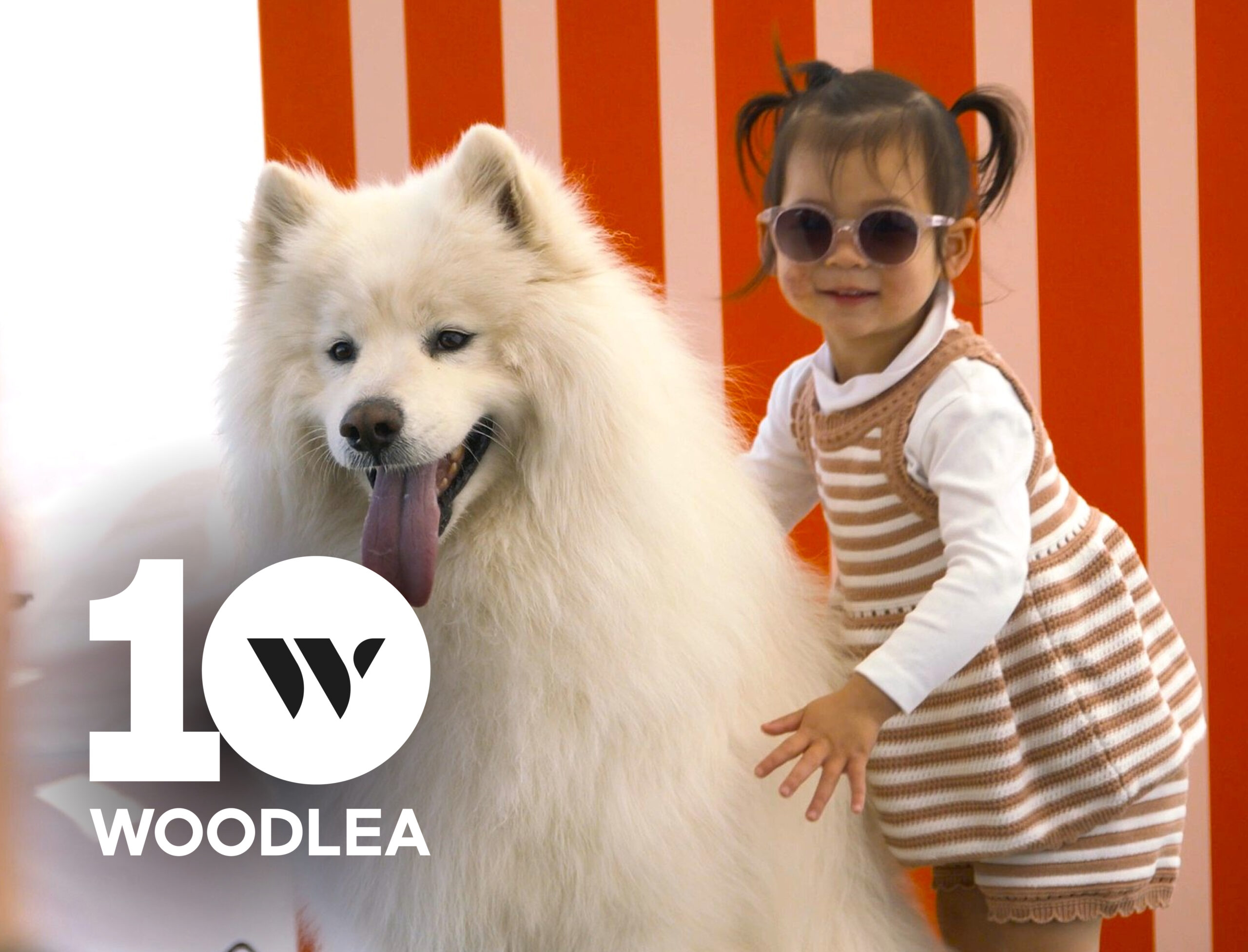 Pups in the Park Party