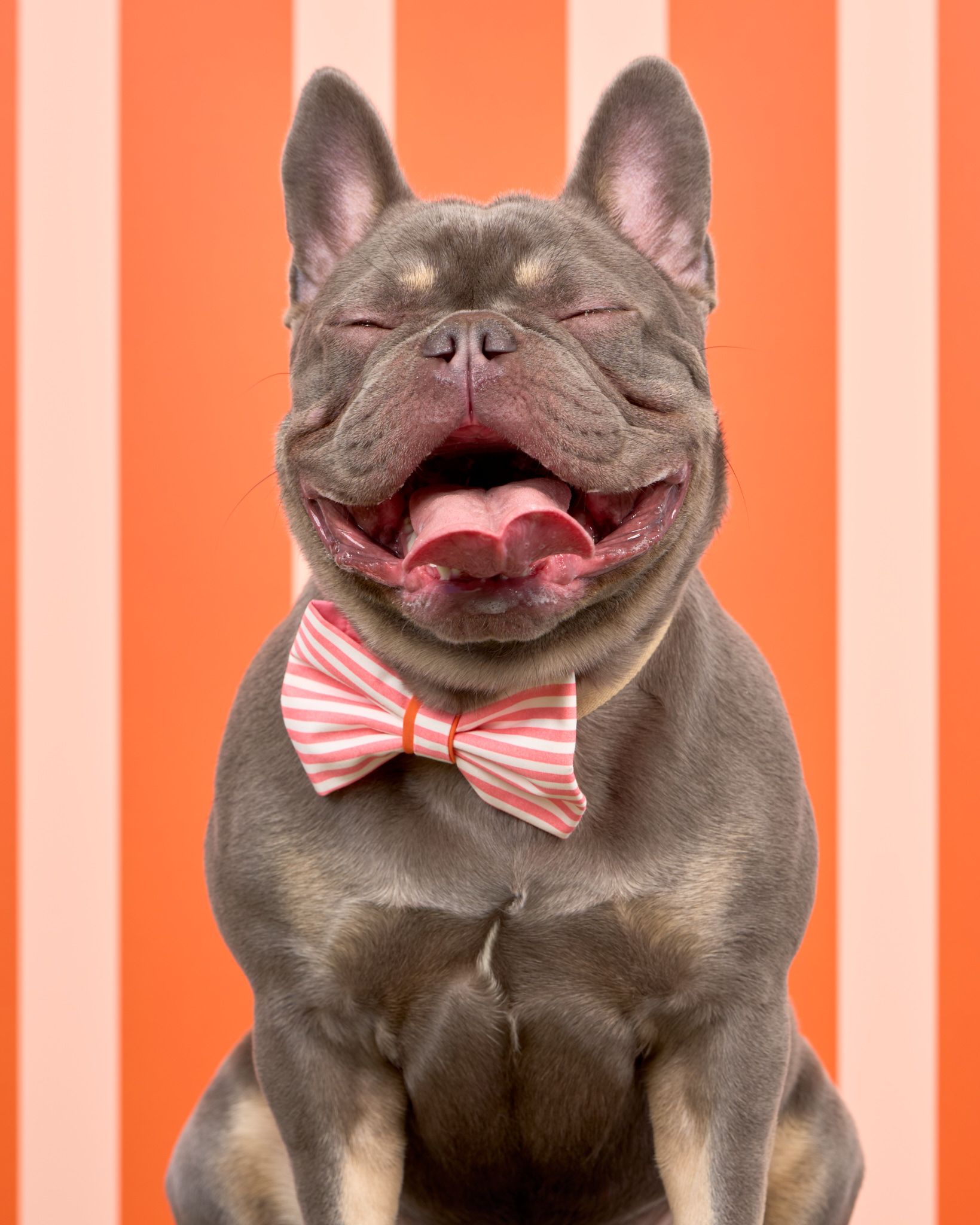 Pups in the Park_10701_DogPhotog