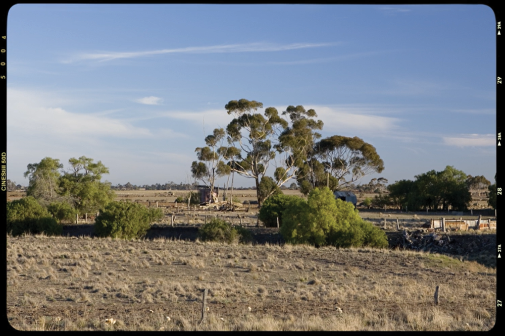 patch of dirt 1