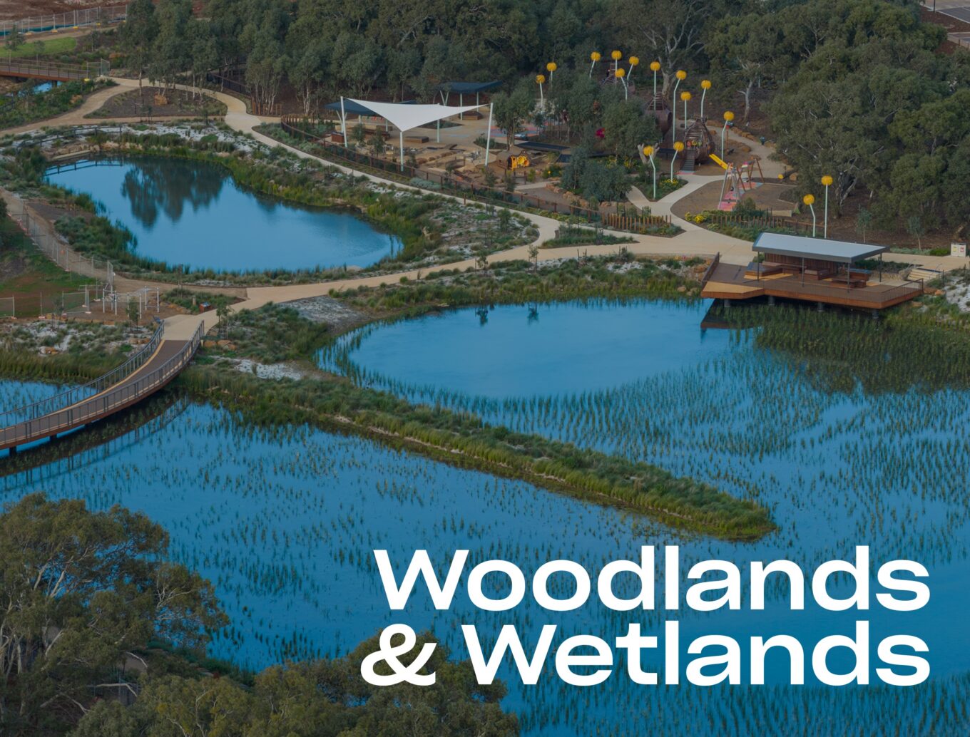 Woodlands1